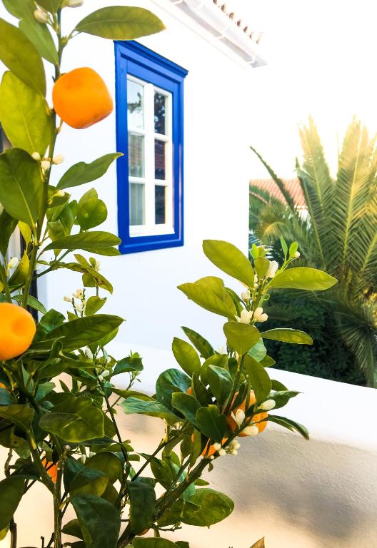 a house with a blue window and an orange tree at Armata Boutique Hotel in Spetses
