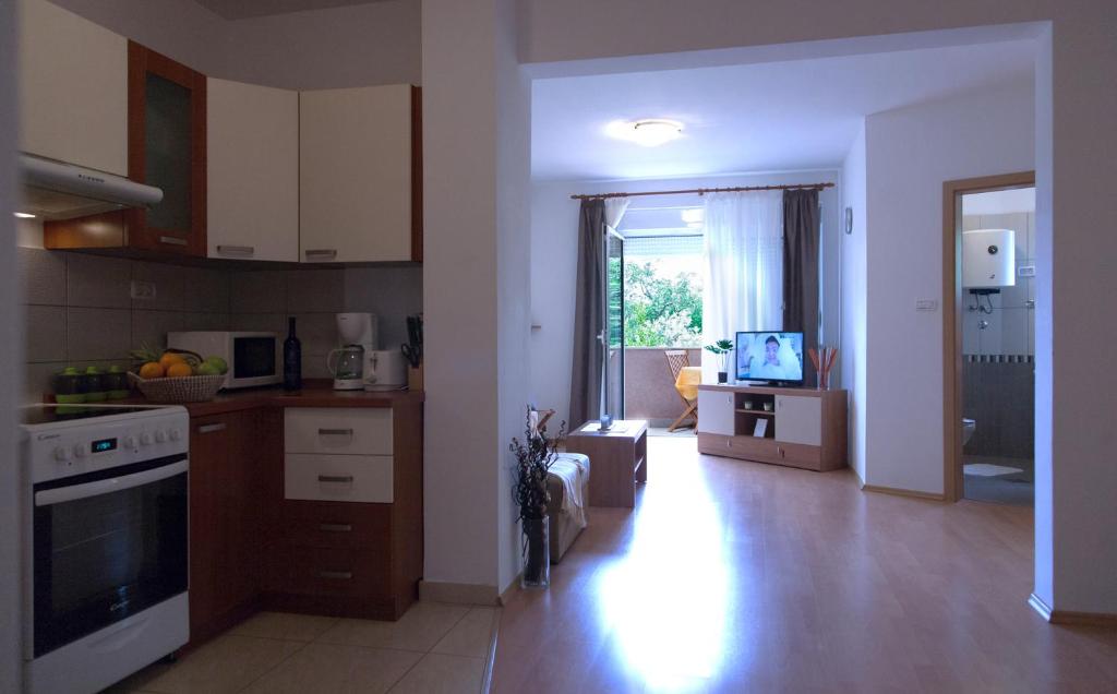 Kuchyň nebo kuchyňský kout v ubytování Apartment Helga