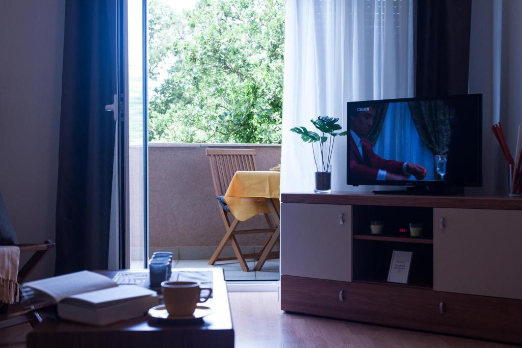 TV a/nebo společenská místnost v ubytování Apartment Helga