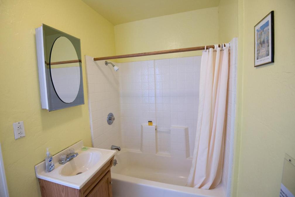 a bathroom with a shower and a sink and a mirror at River View Garden Resort in Monte Rio