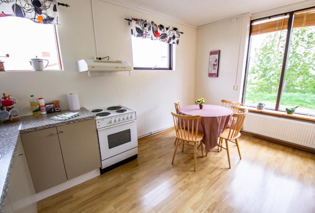 Kuchyň nebo kuchyňský kout v ubytování Saurbær Apartment