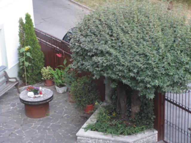 Zahrada ubytování Ferienwohnung Lienz Egger