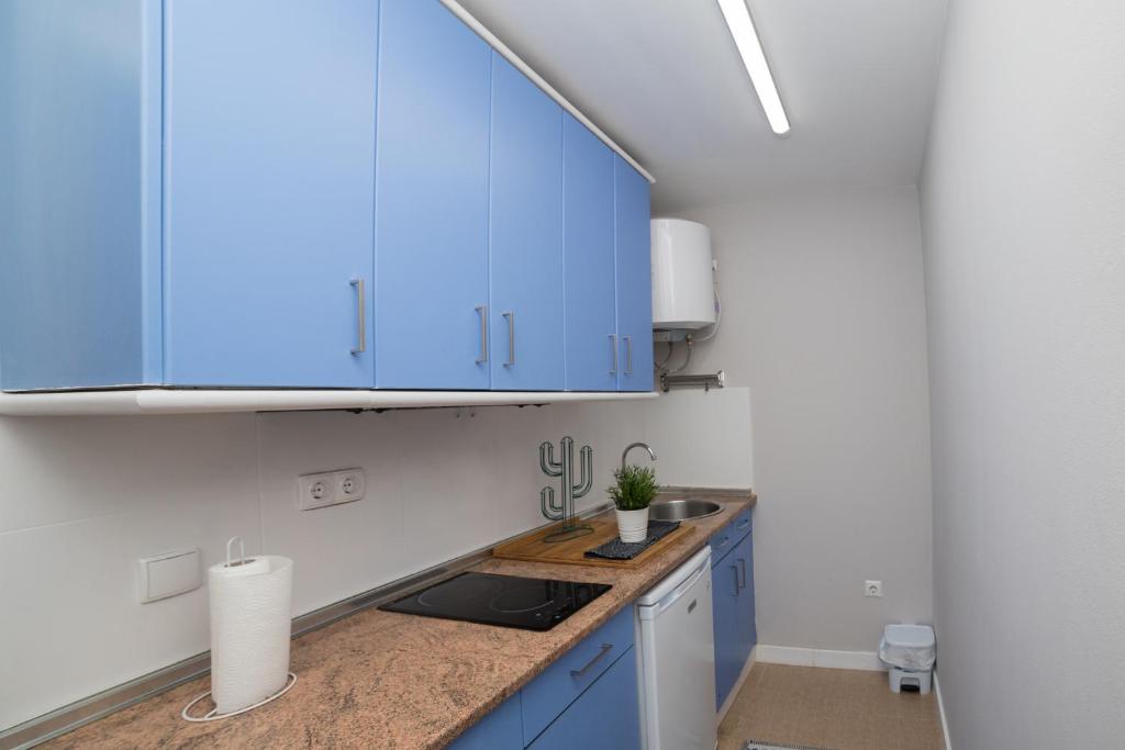 Kuchyňa alebo kuchynka v ubytovaní Apartamento Logroño Catedral