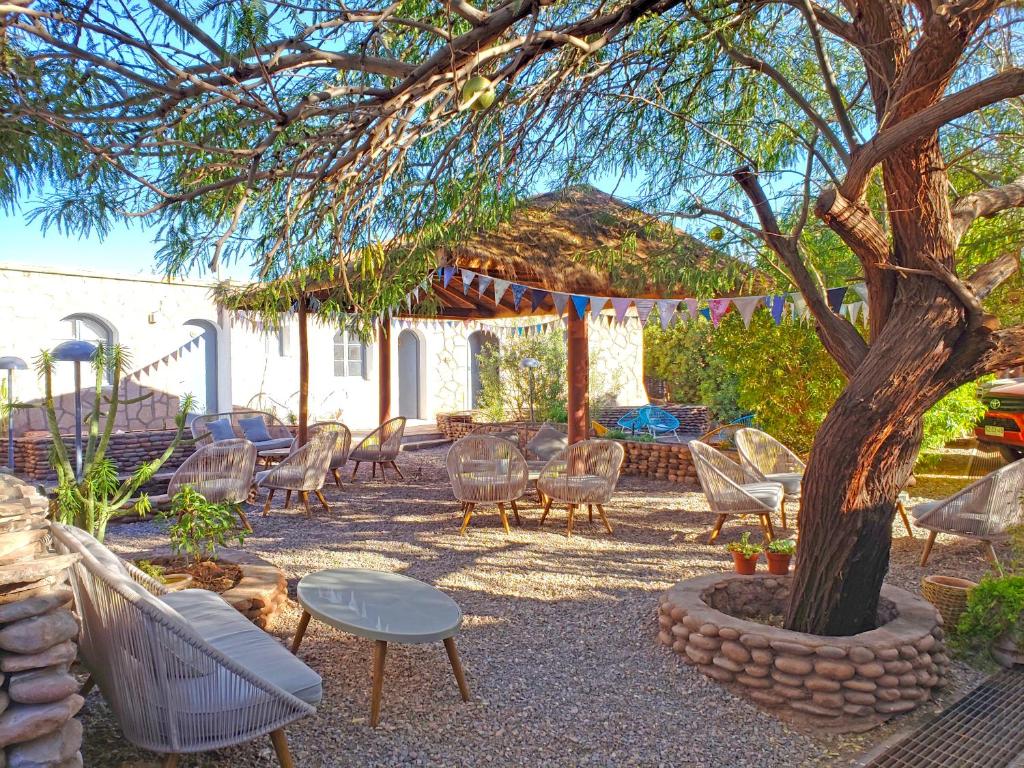 Zahrada ubytování Hotel Jardin Atacama