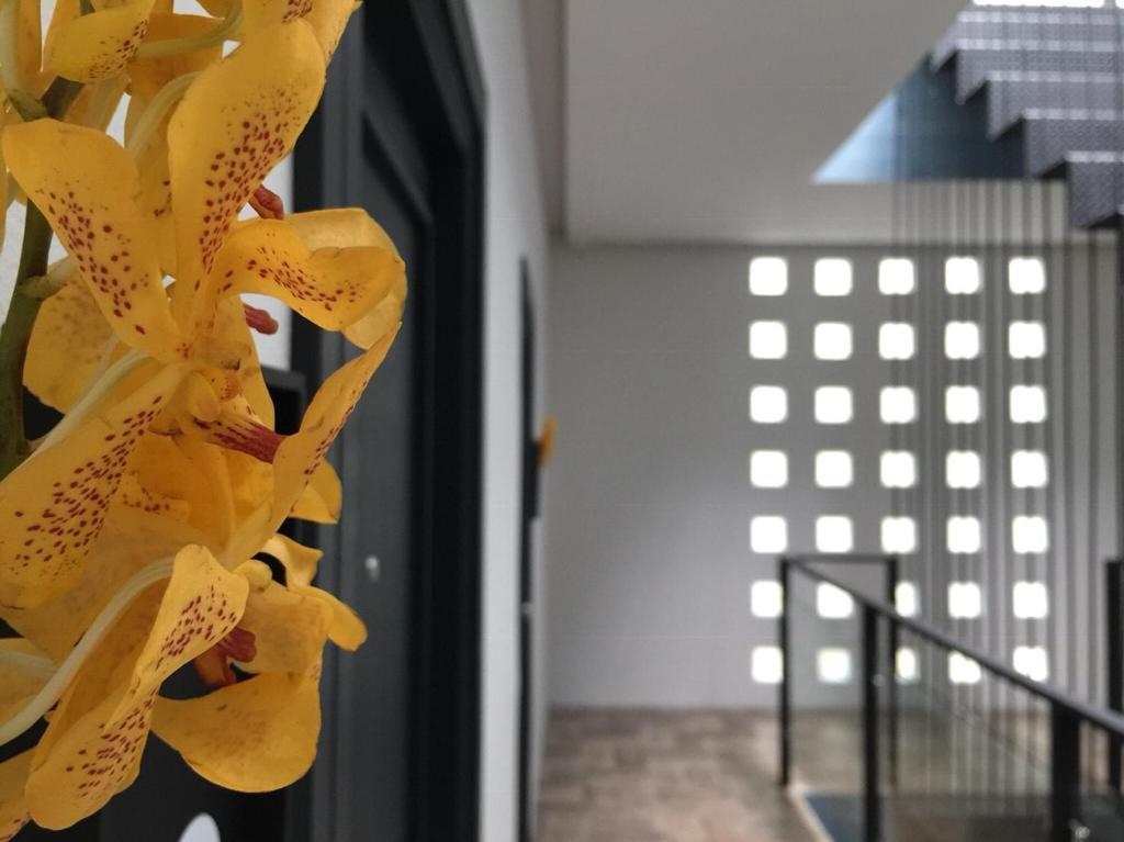 Goodnight Poshtel + Free Netflix - Resim 13