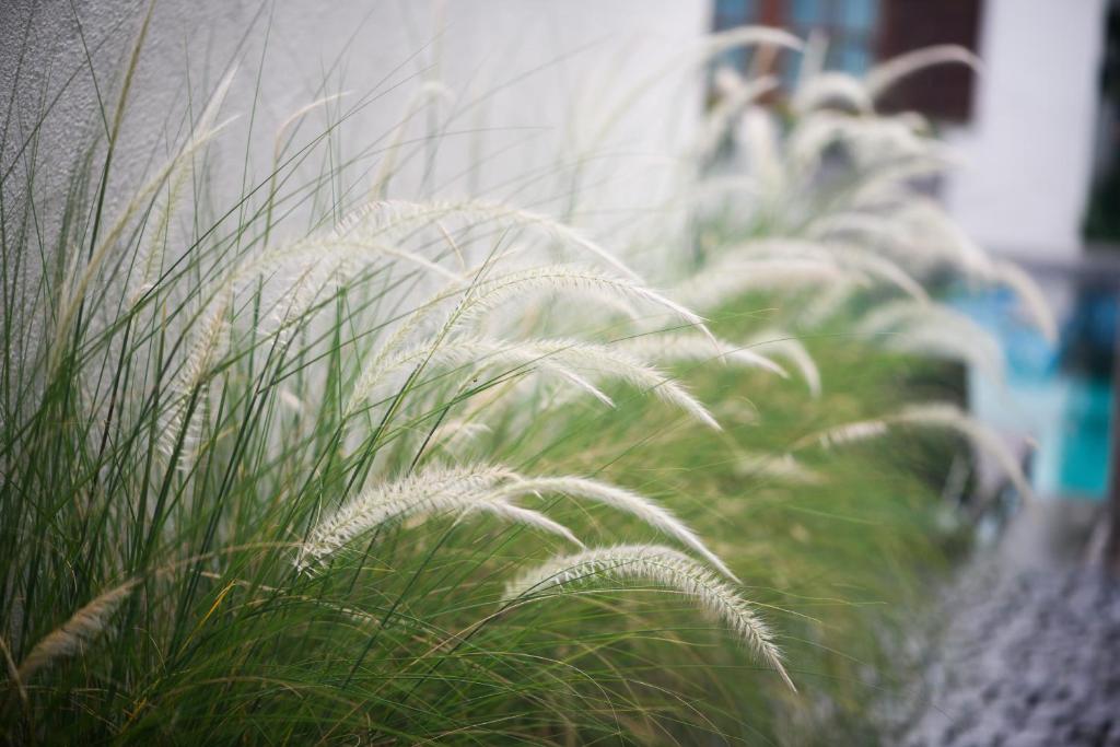 Villa Seville - Resim 22