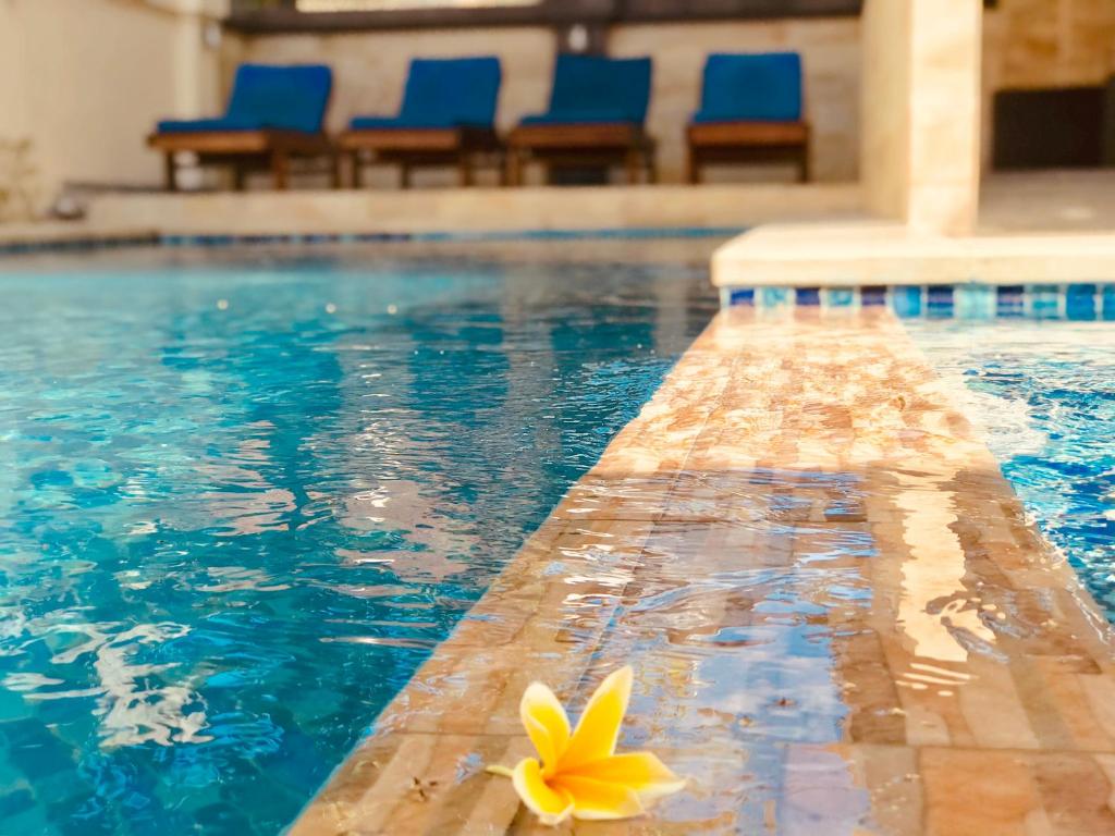 a starfish on the edge of a swimming pool at Familytel Bali in Jimbaran