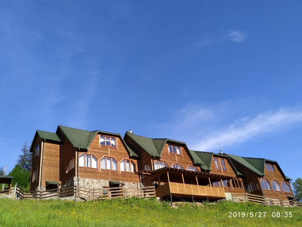 a large wooden house with green roofs on a field at Котедж ,,ТІК" in Tatariv
