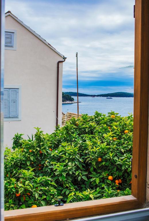Příroda nedaleko hotelu