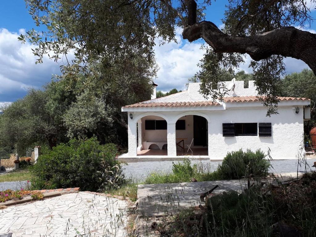 Photo de la galerie de l'établissement Lilly - Lovely small Villa among Olive Trees, à Sarroch