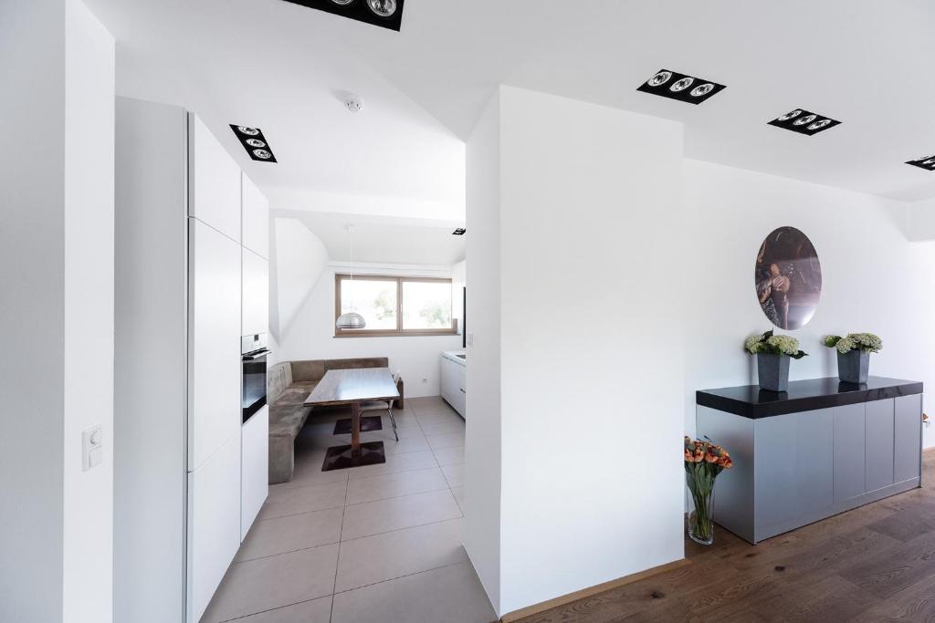 Amedeo Zotti Residence Salzburg - Resim 10