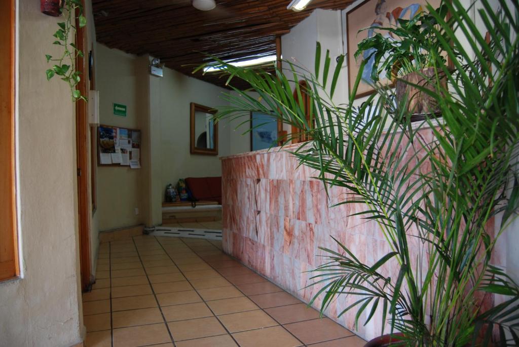 Fotografie z fotogalerie ubytování Hotel Alux Cancun v destinaci Cancún
