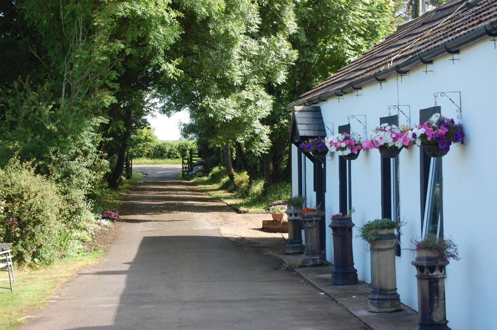 聖畢斯的住宿－Moorclose Bed and Breakfast，一条在房子边有鲜花的道路