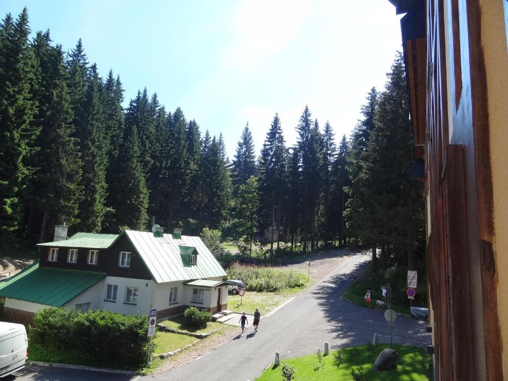 Příroda nedaleko apartmánu
