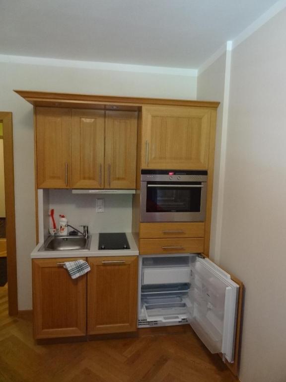 Kuchyň nebo kuchyňský kout v ubytování Apartmány Pod Javorem