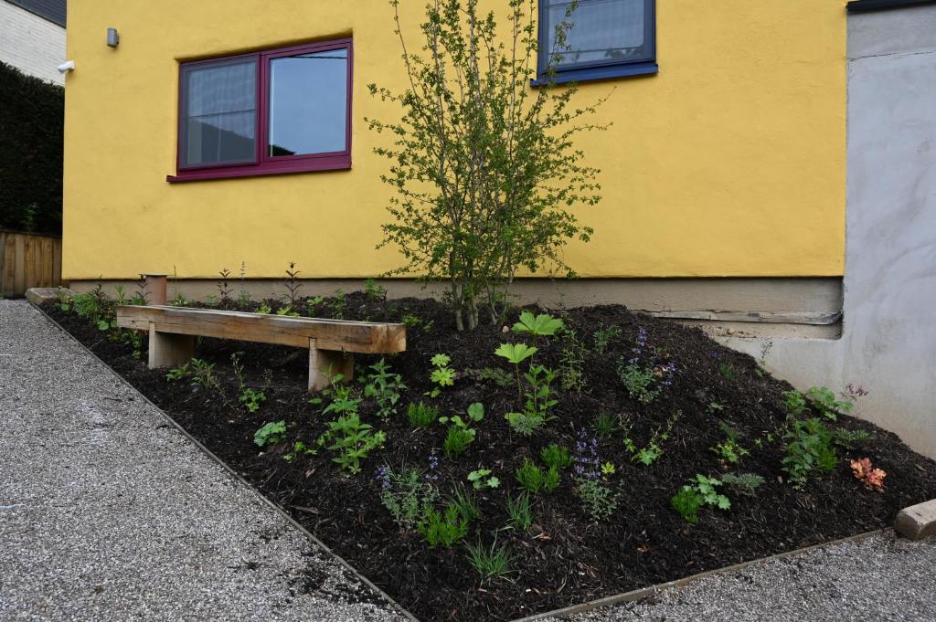 Zahrada ubytování B&B Dujardin