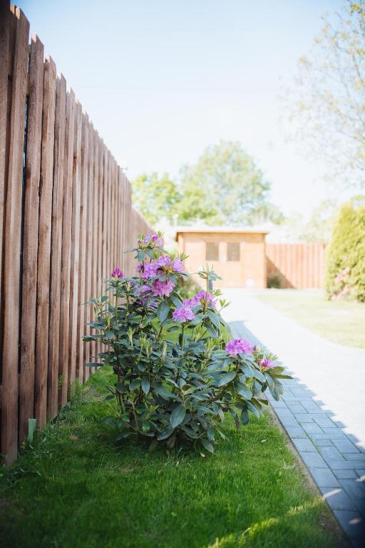 Zahrada ubytování Rostocker Stadtidyll