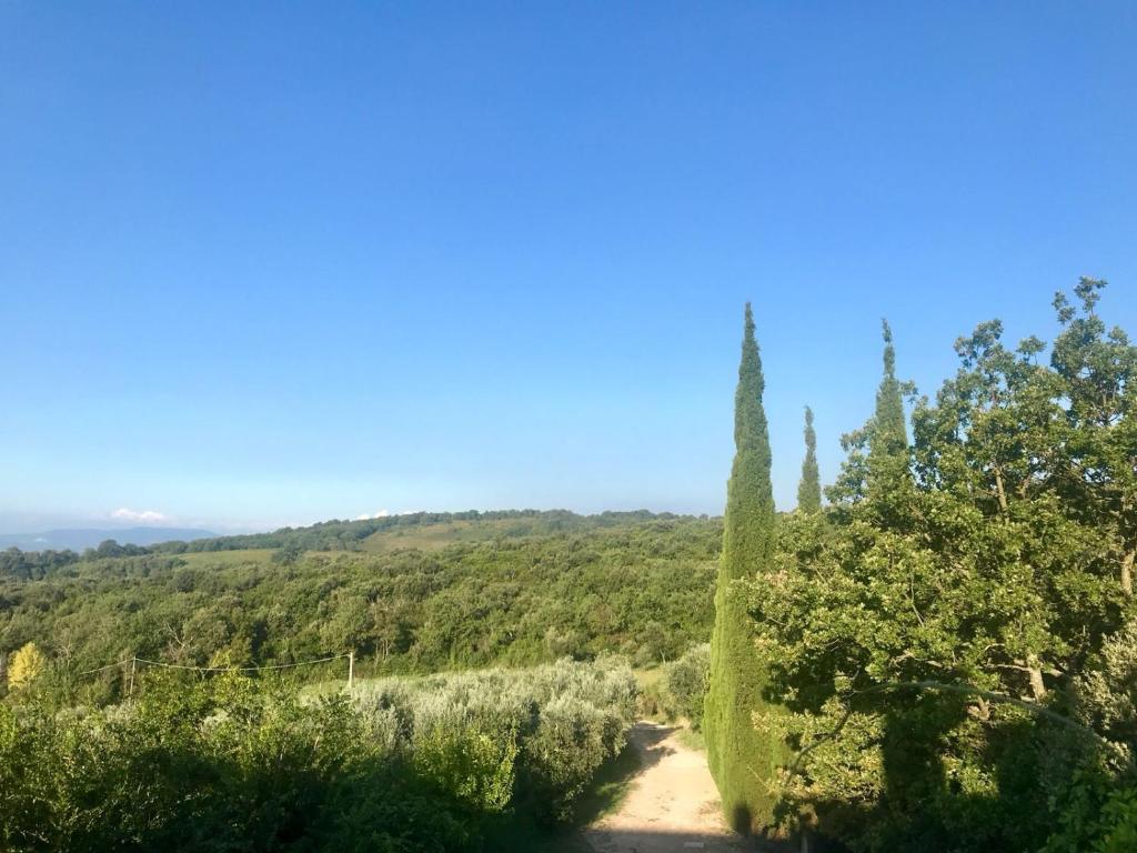 Gambar di galeri bagi Agriturismo Campo al Crognolo di Sassofortino