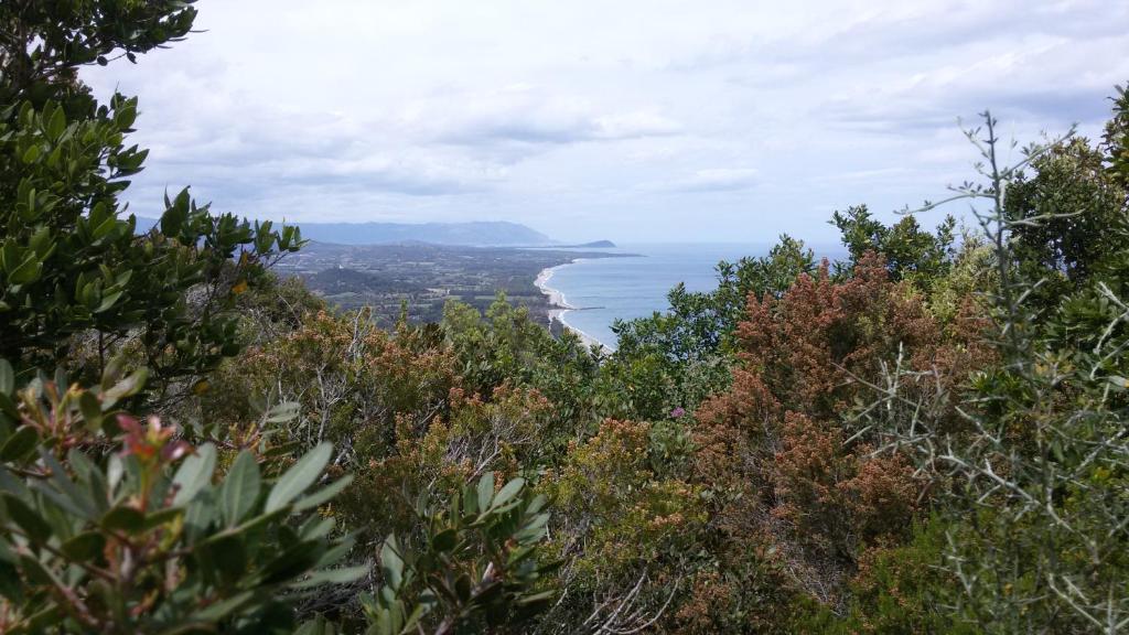uma vista para o oceano a partir do topo de uma colina em Su Marmuri em Ulassai