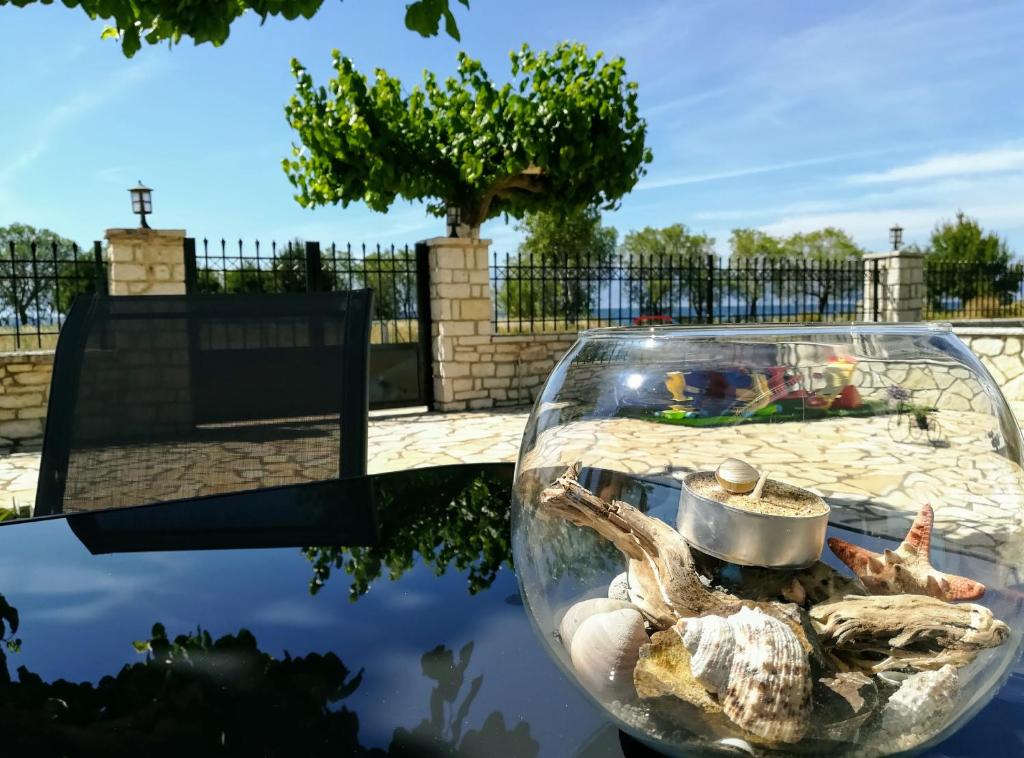 een glazen kom met een zeeschildpad erin bij Eleftheria's Apartments in Eratini