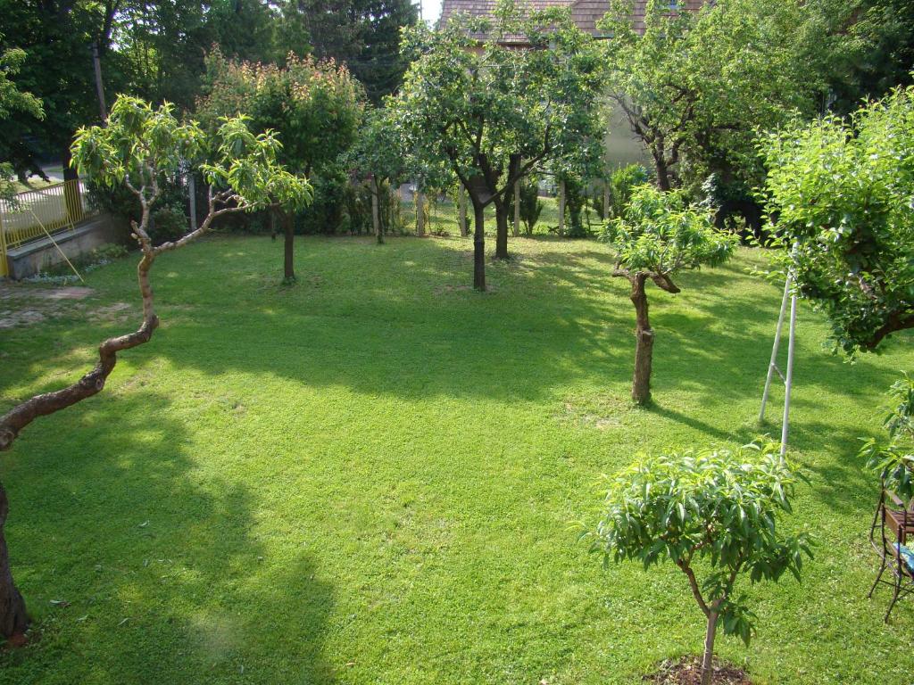Zahrada ubytování Székely Apartman