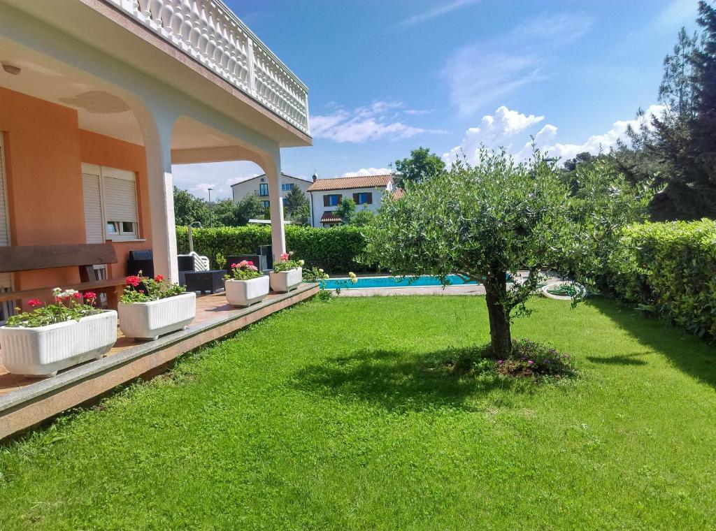 un jardin avec un arbre au milieu d'une cour dans l'établissement Villa Rosa, à Umag