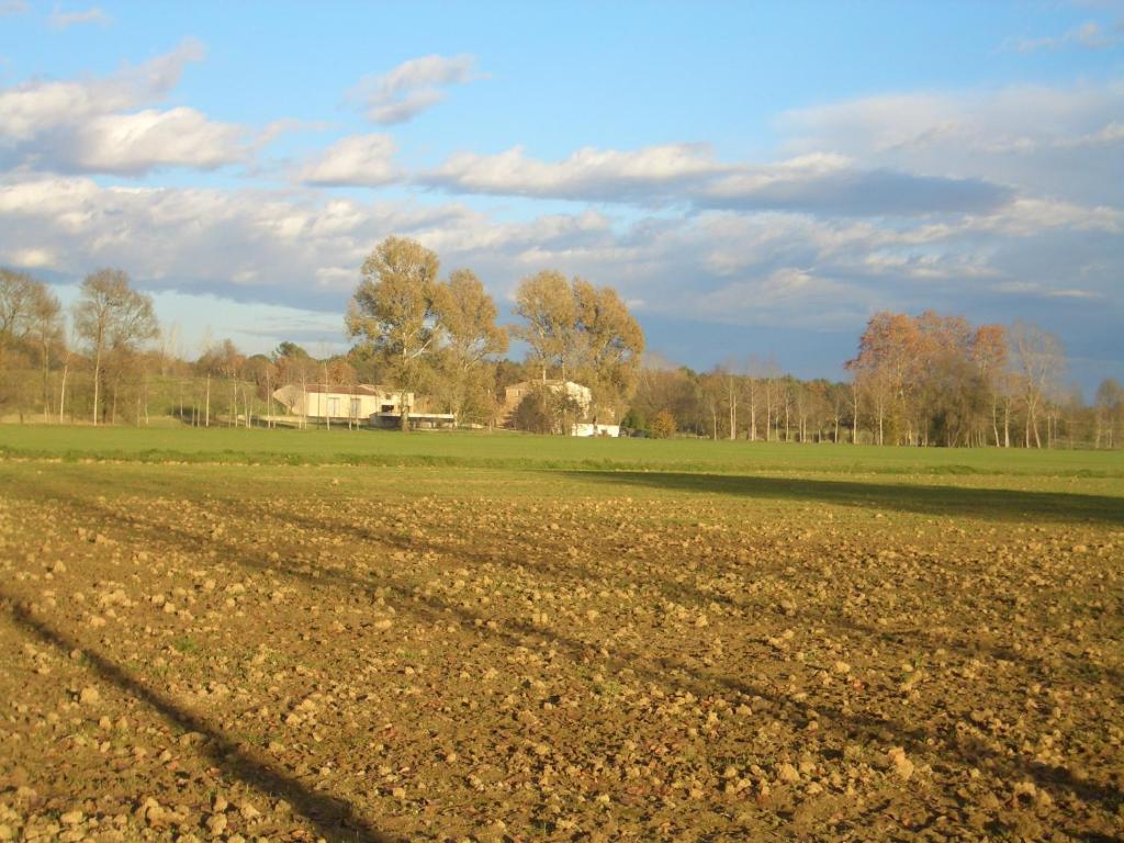 Příroda nedaleko venkovského domu
