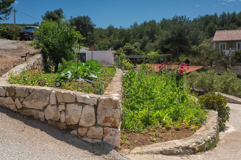 Zahrada ubytování Golden Bay Hvar