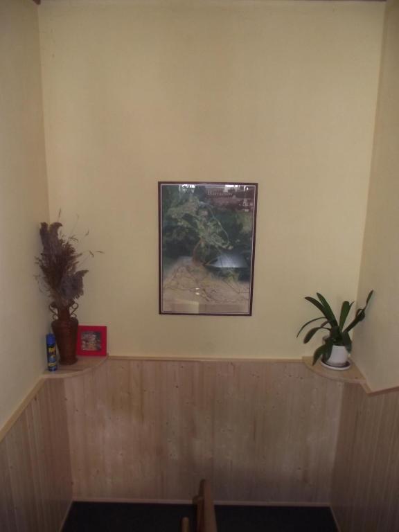 Fotografie z fotogalerie ubytování Pension U Krtka - přímo u sjezdovky v destinaci Harrachov