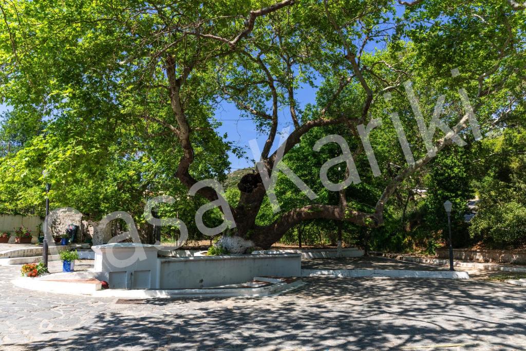 A garden outside Casa Kariki - Traditional House in Psinthos