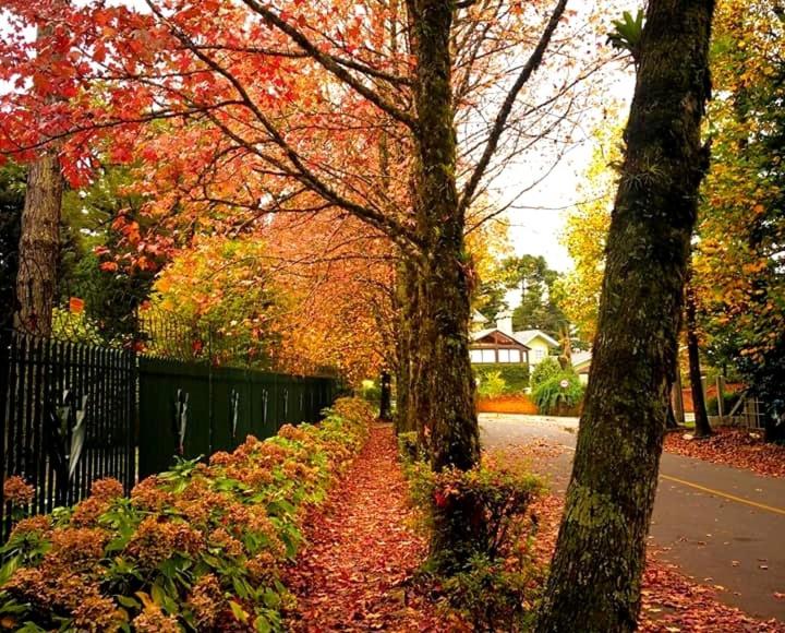  Apartamento Família Sirangelo