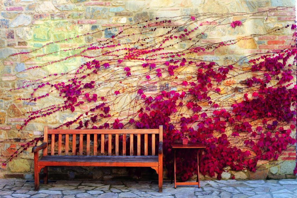 Fotografie z fotogalerie ubytování Hotel Le Fontanelle v destinaci Castelnuovo Berardenga