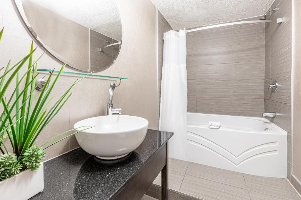 Hotel Universel - Resim 18