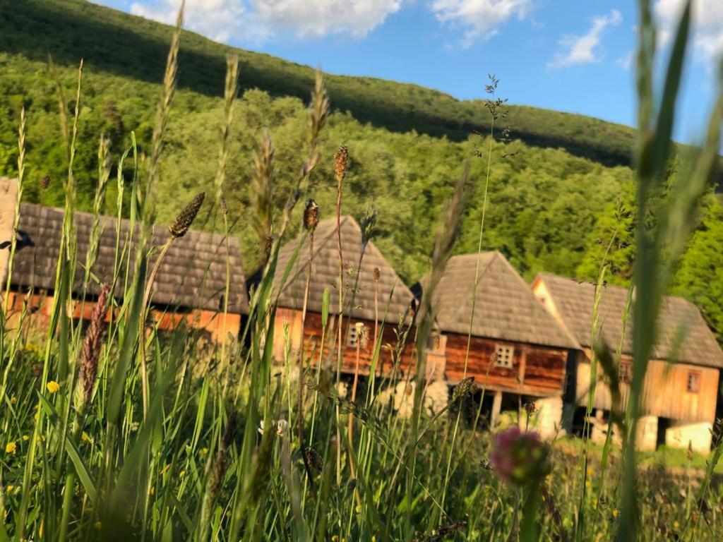 Příroda nedaleko apartmánu