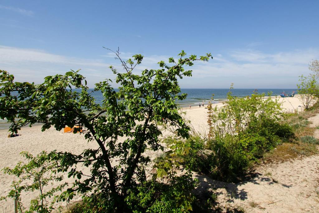 Príroda v okolí apartmánu