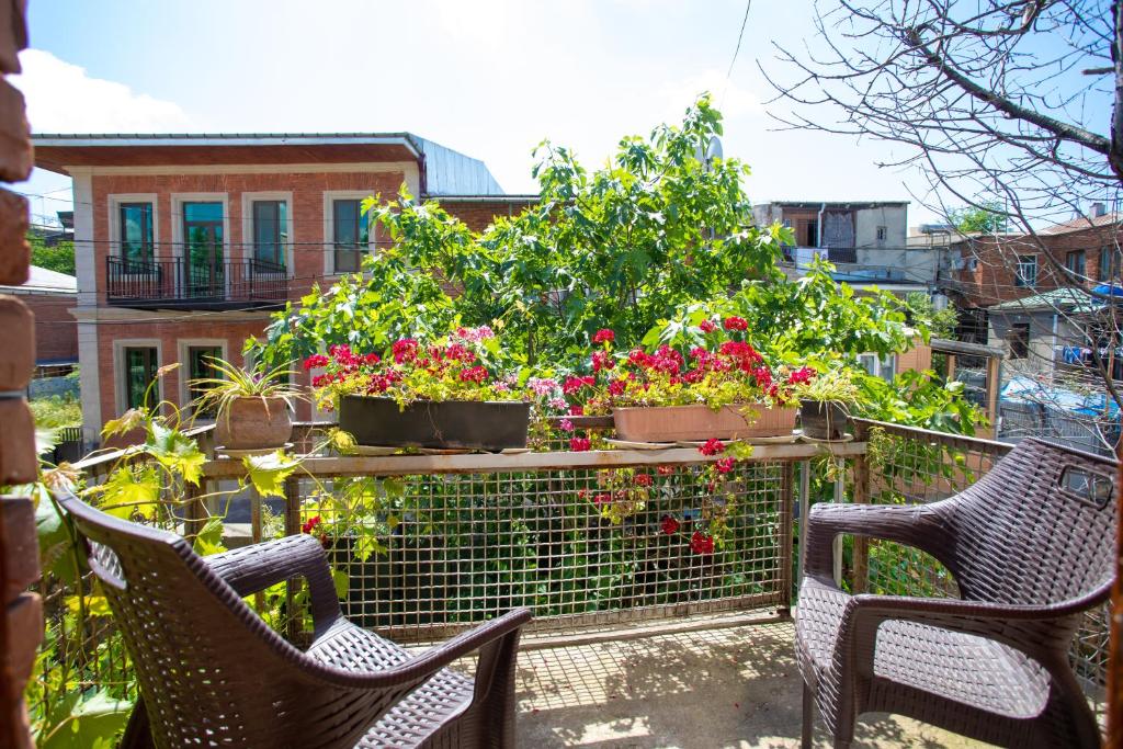 Zahrada ubytování HOTEL VENETO