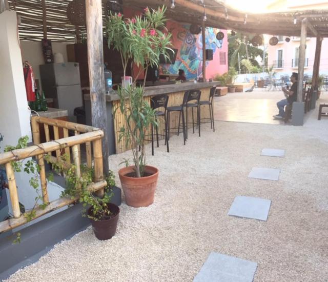 Fotografie z fotogalerie ubytování Wabi Hostel v destinaci Playa del Carmen