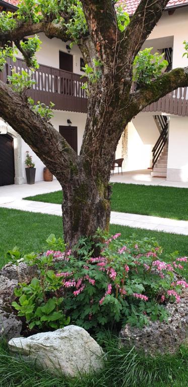 Zahrada ubytování B&B Vidmar, Lesce-Bled
