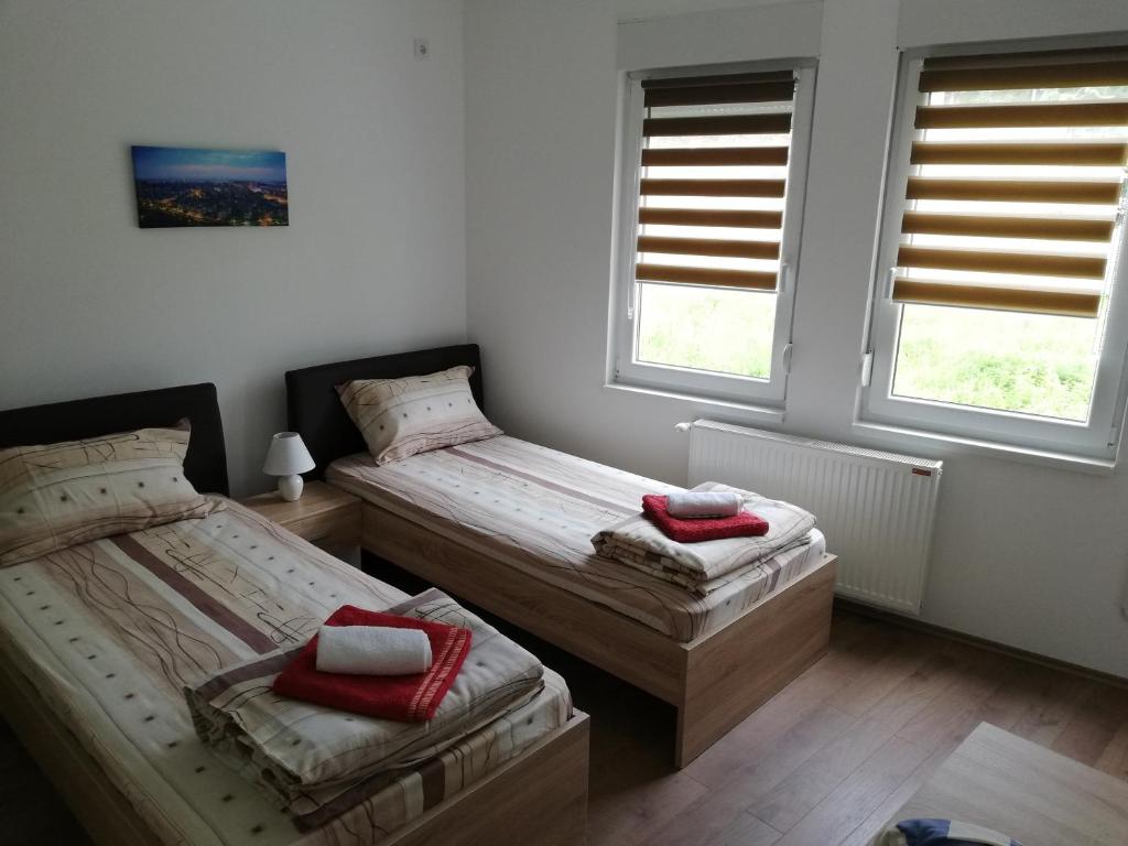 twee bedden in een kamer met twee ramen bij Apartment Tijana in Banja Koviljača