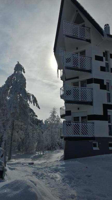 Apartman SREBRNA PAHULJA durante el invierno
