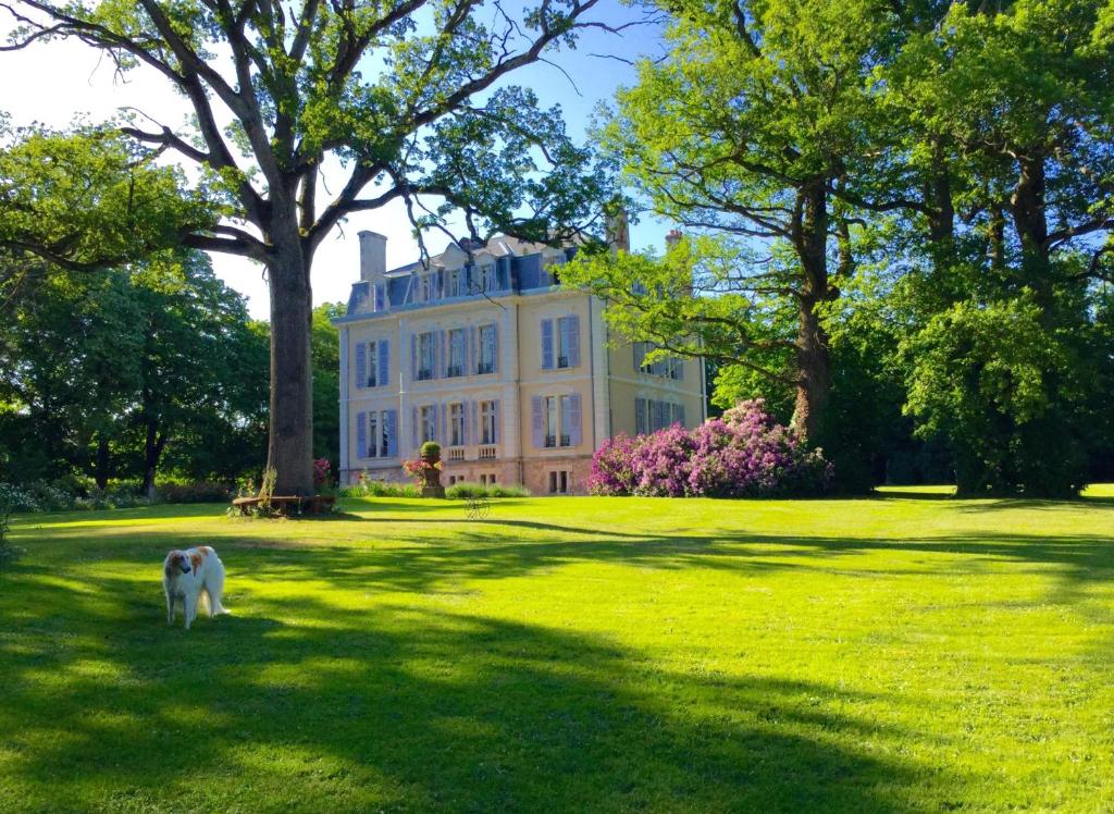 Boussac的住宿－Château La Creuzette，站在房子前面的草地上的狗