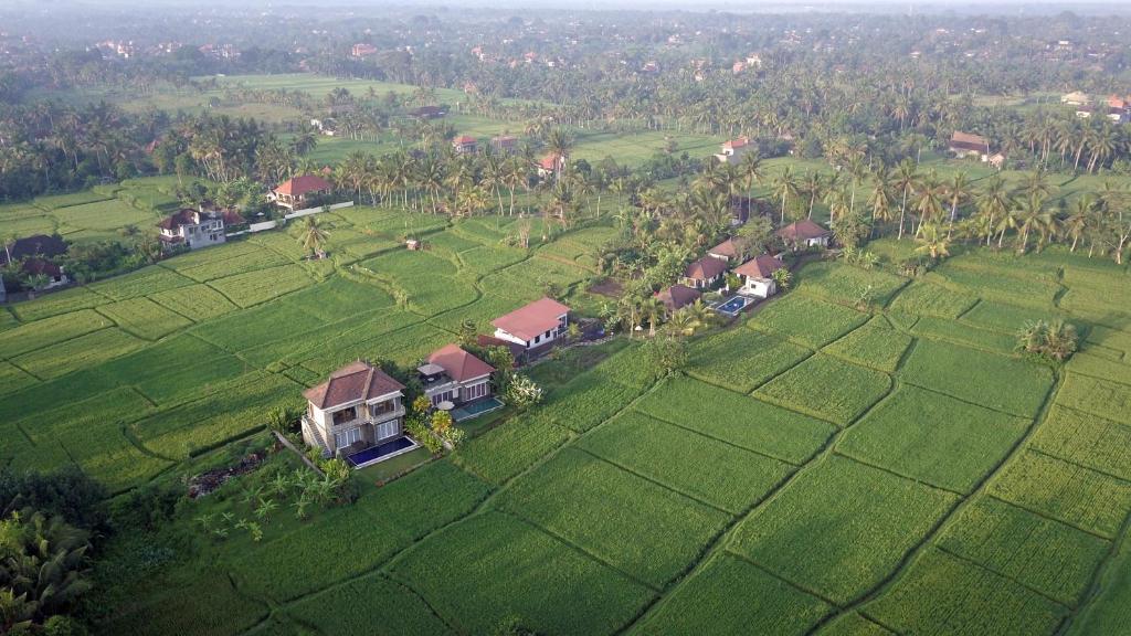 an aerial view of a house in a green field at The Samara Villas & Restaurant in Ubud