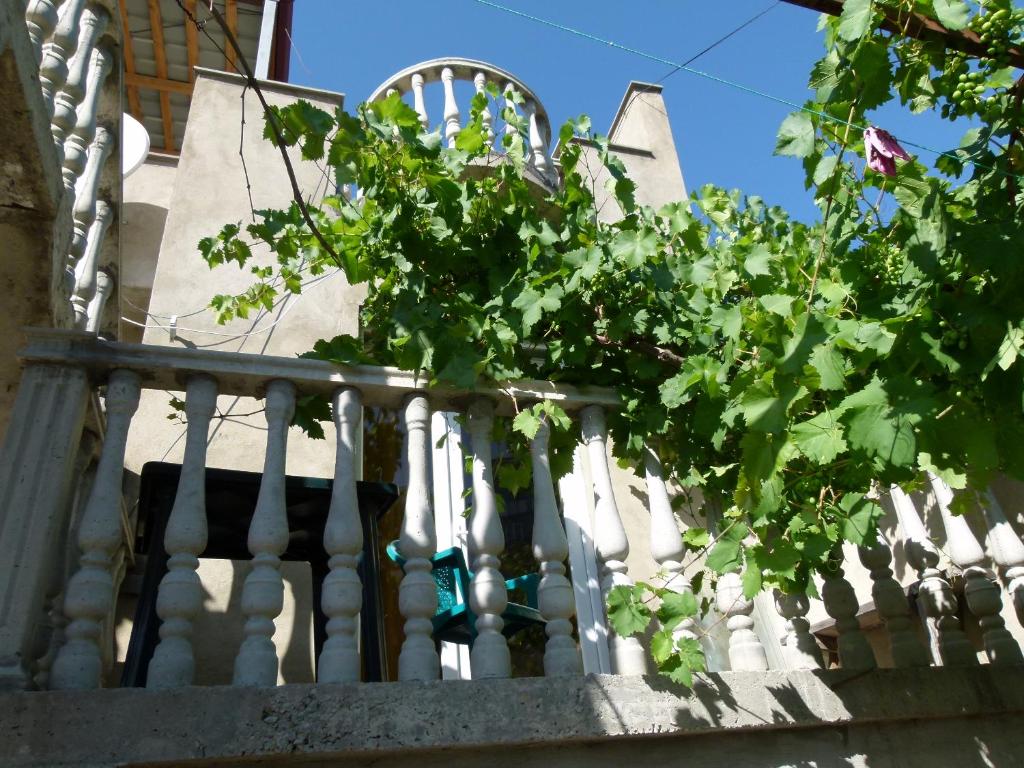 Zahrada ubytování Why Me Eco-friendly Rooms