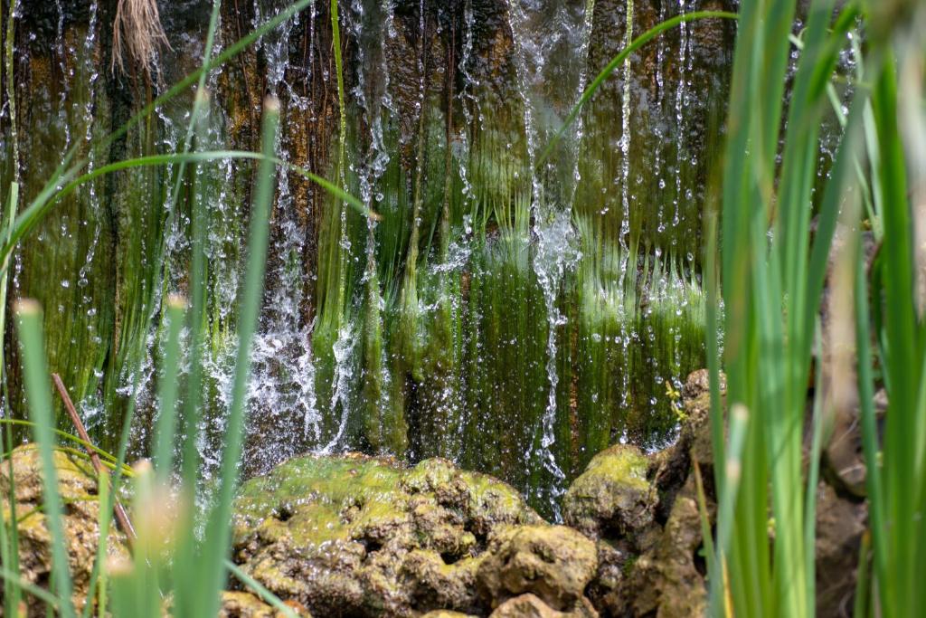 a waterfall in a garden with green grass at The American Colony Hotel - Small Luxury Hotels of the World in Jerusalem