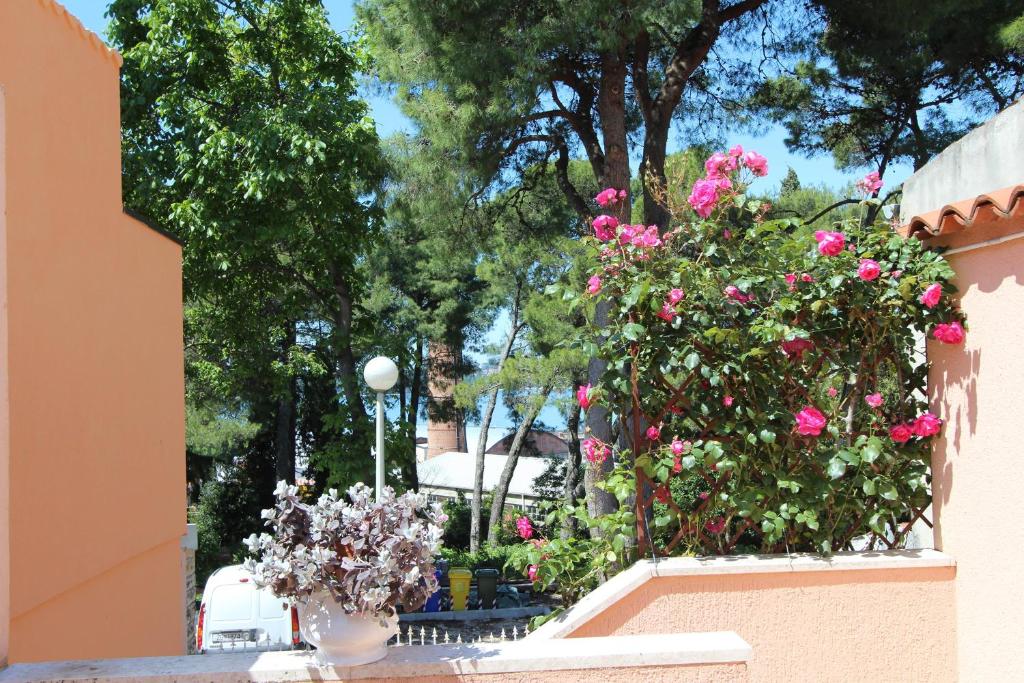 Zahrada ubytování Apartments Villa Lucu