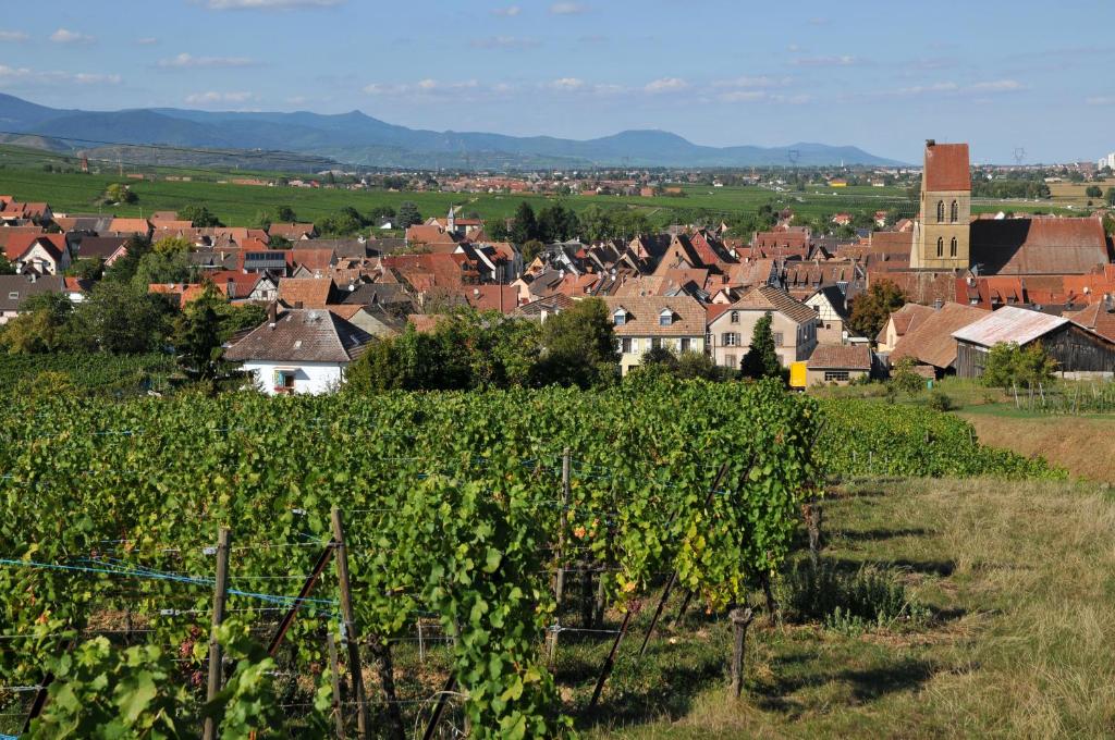B&B Relais du Vigneron - Jean-Luc et Bruno Meyer – photo 47