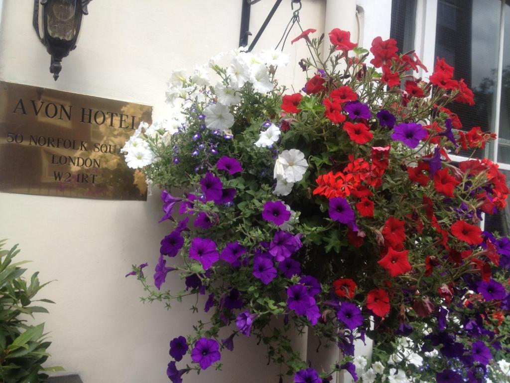 Avon Hotel - Resim 19