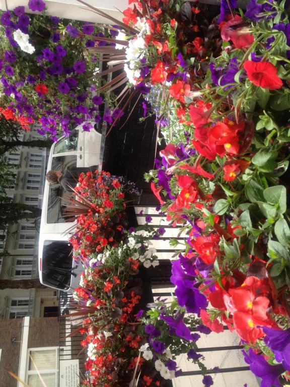 Avon Hotel - Resim 20