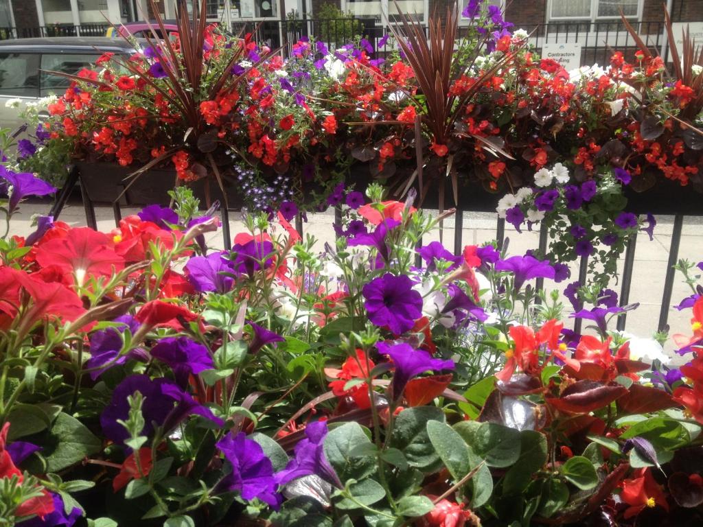 Avon Hotel - Resim 21