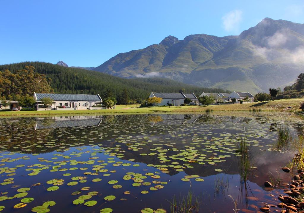 a lake with lily pads on the water with mountains in the background at Gaikou Lodge in Swellendam